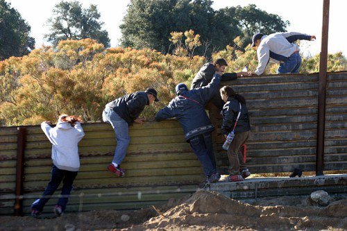 border-fence1