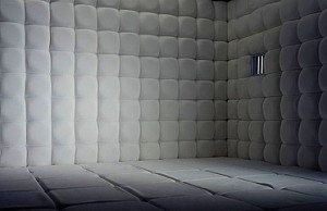 padded+cell