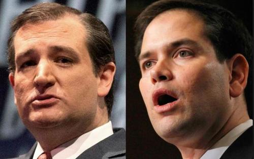 Cruz-Rubio