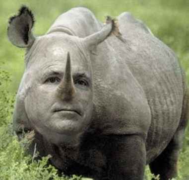 Rino