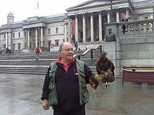 220px-Trafalgar_squares_trained_falcon_1