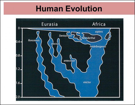 Around 60,000 years ago there was an exodus into the Arabian Peninsula.