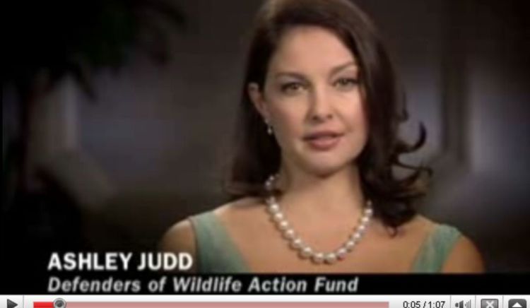 Ashley-Judd-garde-un-oeil-sur-Palin