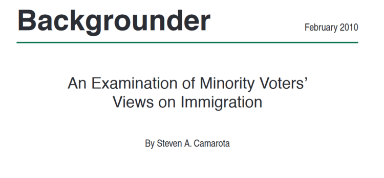 minority-views-immigration.pdf