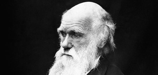 Charles_Darwin631_1_