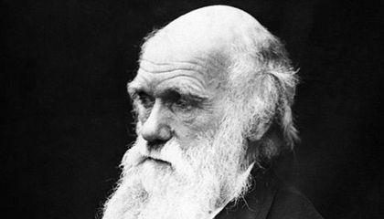 Charles_Darwin631_1_