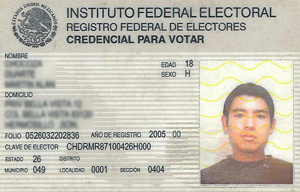 mexicovoterid_1_