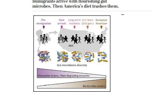 microbes