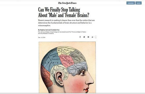 boybrainsgirlbrains