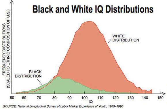 iq5-580x381