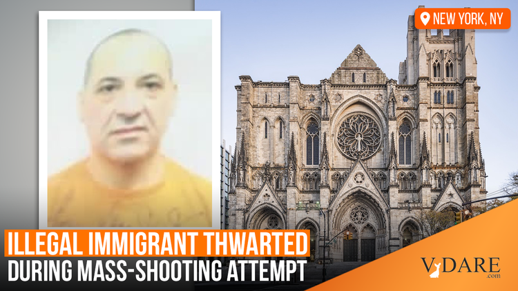 VDARE-illegal-mass-shooter-cathedral