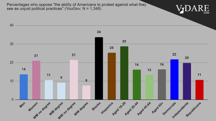 VDARE-right-to-protest