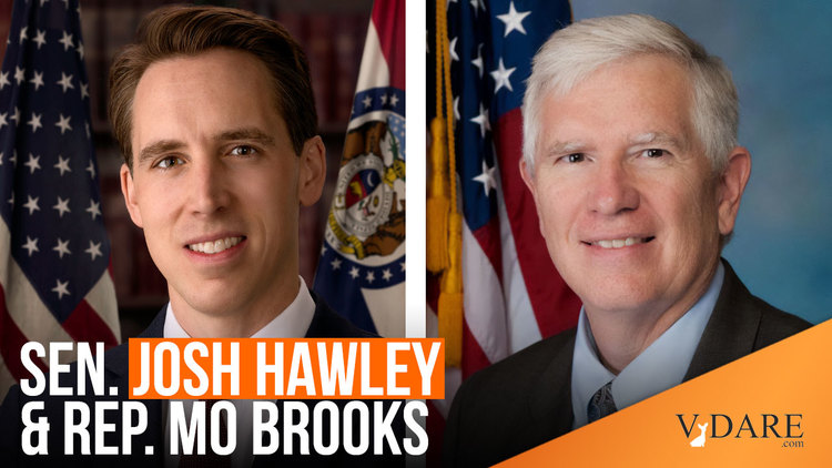 VDARE-hawley-brooks