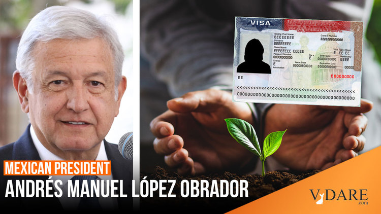 VDARE-amlo-trees