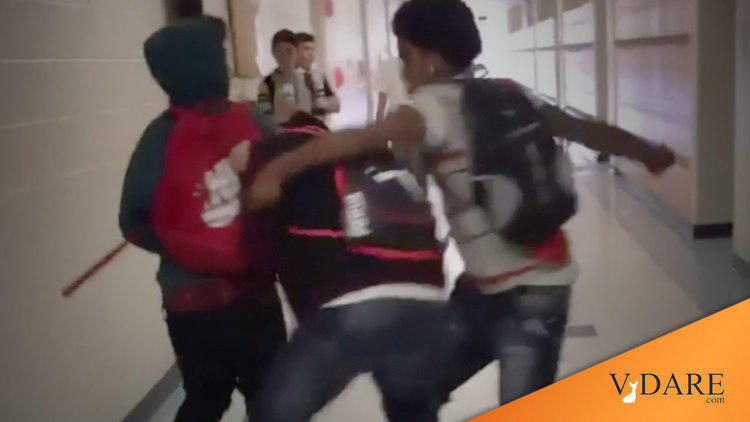 VDARE-school-fight_1_