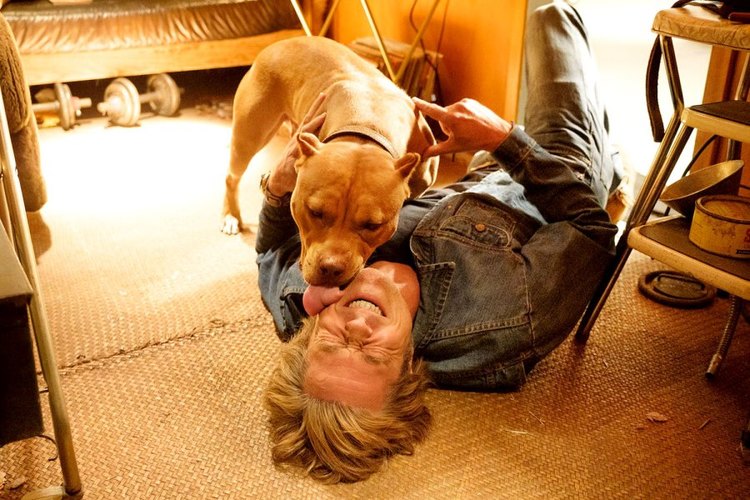 Brad-Pitt-Developed-Bond-With-Once-Upon-Time-Hollywood-Dog_1_