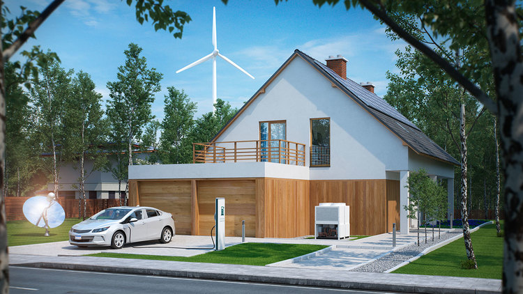 VDARE-sailer-ev-homes