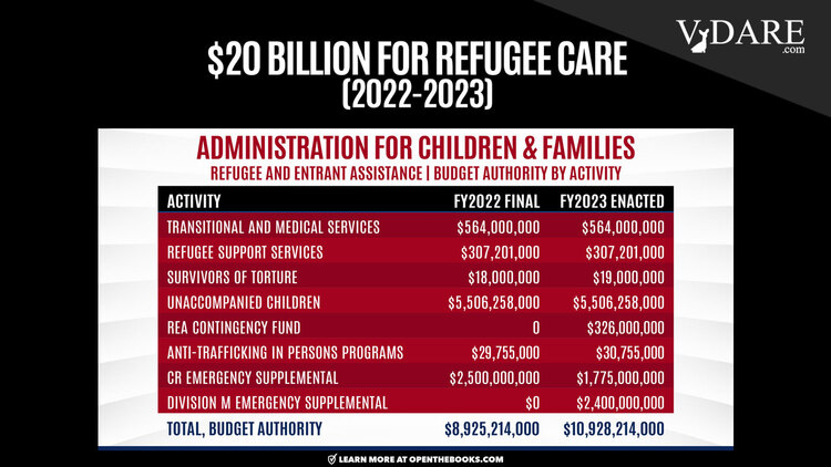 VDARE-cleburne-refugee-car