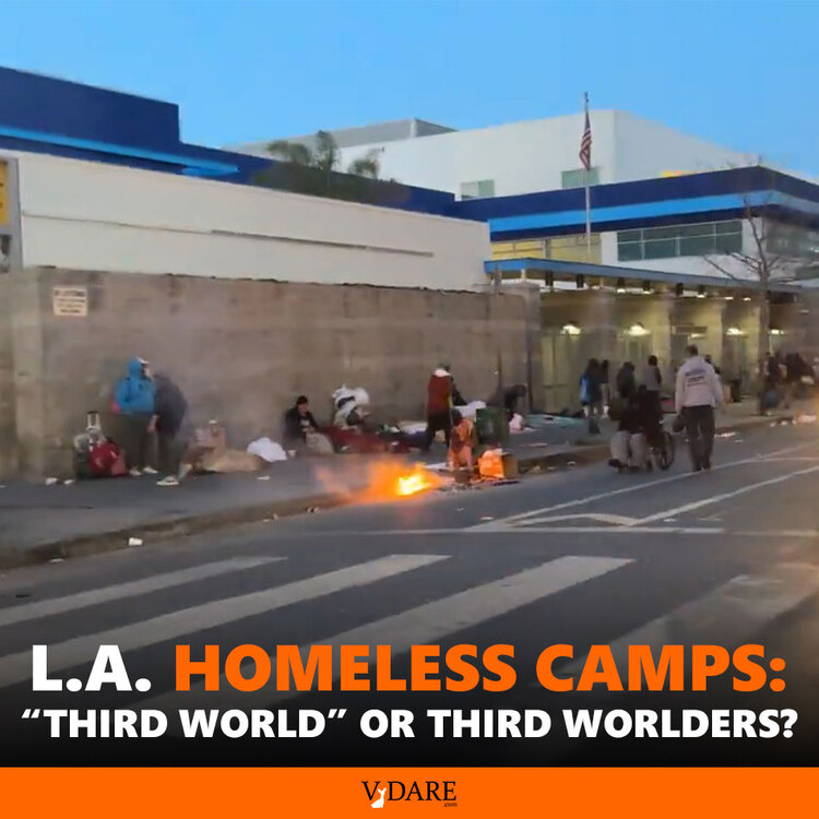 VDARE-derb-homeless-camps