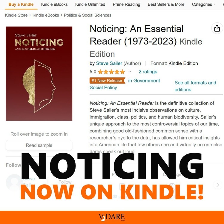 noticingkindle